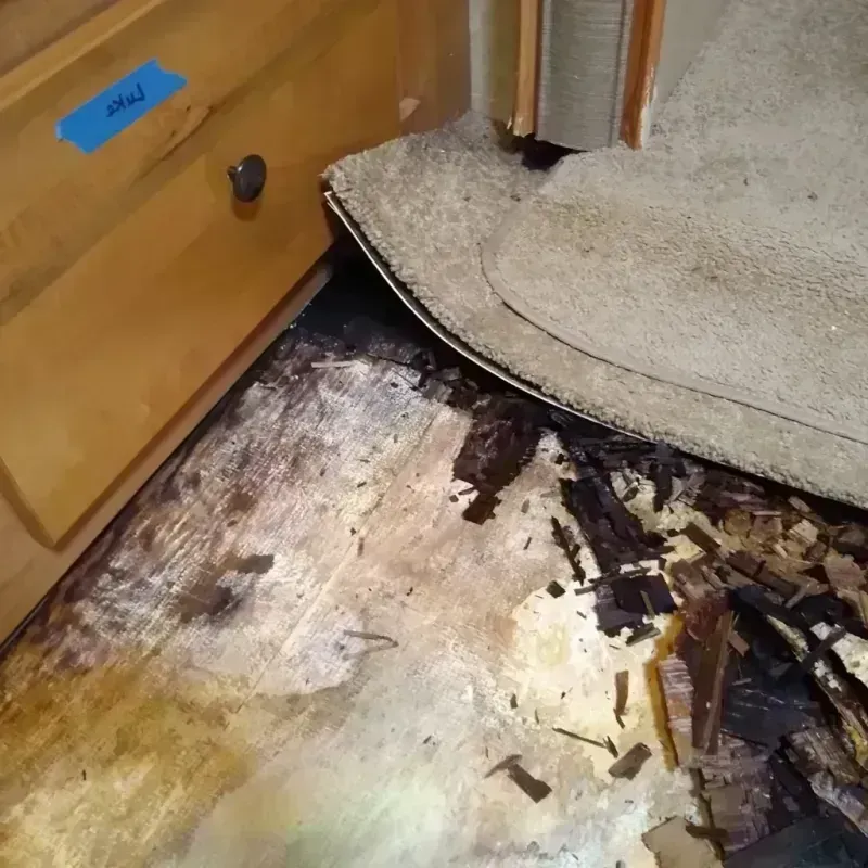 Wood Floor Water Damage in McColl, SC